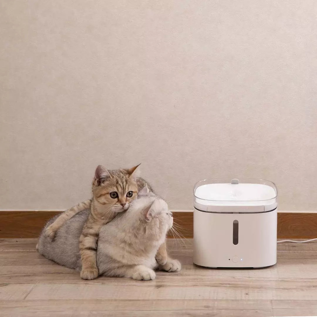 Smart Automatic Pets Water Drinking Dispenser Fountain