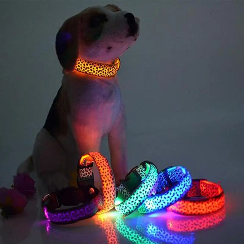 LED Dog Collar Safety Adjustable Nylon Leopard Pet Collar - Image #1