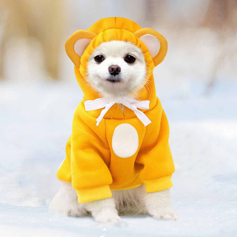 Cute Pets Turn Into Clothes